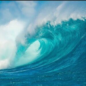 Meet your Posher, CC